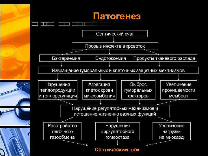 Патогенез Септический шок 