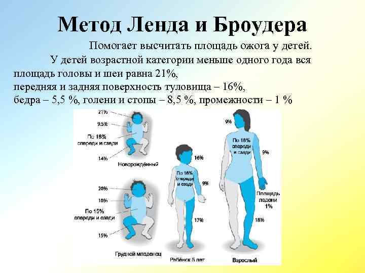 Метод Ленда и Броудера Помогает высчитать площадь ожога у детей. У детей возрастной категории