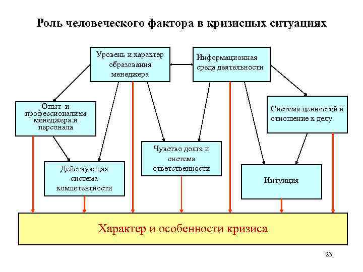 Роль человеческого фактора в кризисных ситуациях Уровень и характер образования менеджера Информационная среда деятельности
