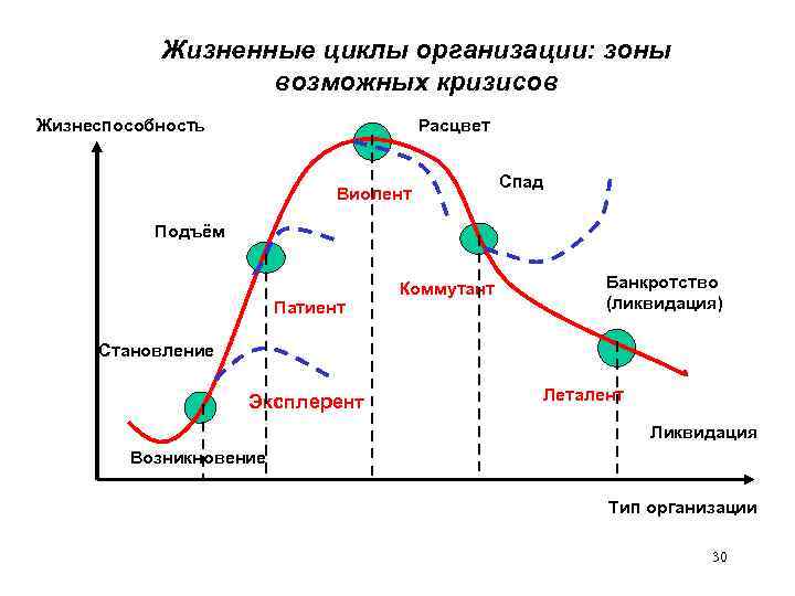 Жизненные циклы организации: зоны возможных кризисов Жизнеспособность Расцвет Виолент Спад Подъём Патиент Коммутант Банкротство