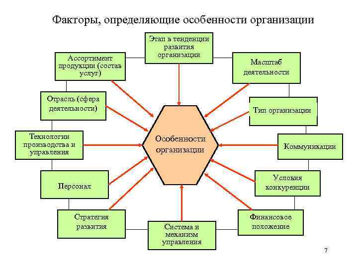 Факторы, определяющие особенности организации Ассортимент продукции (состав услуг) Этап в тенденции развития организации Отрасль