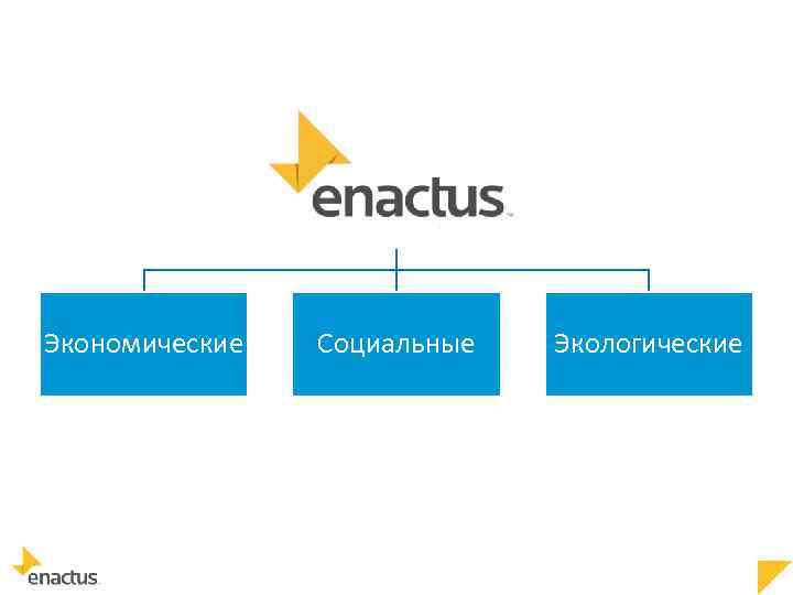 Экономические Социальные Экологические 