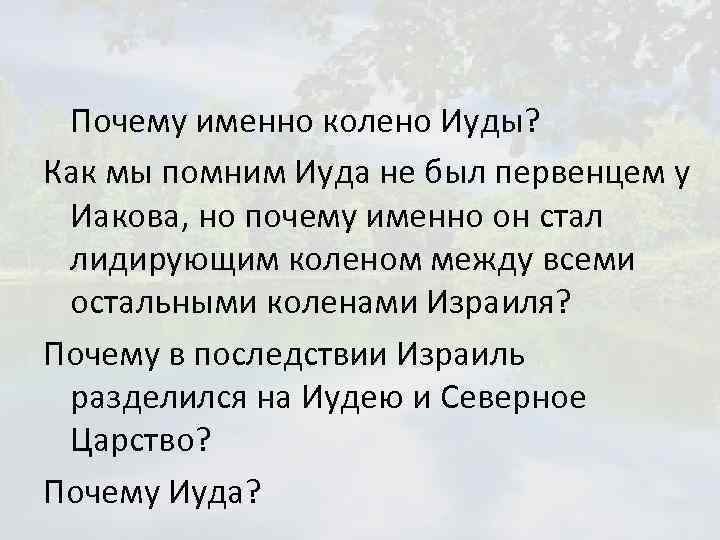 Почему именно колено Иуды? Как мы помним Иуда не был первенцем у Иакова, но