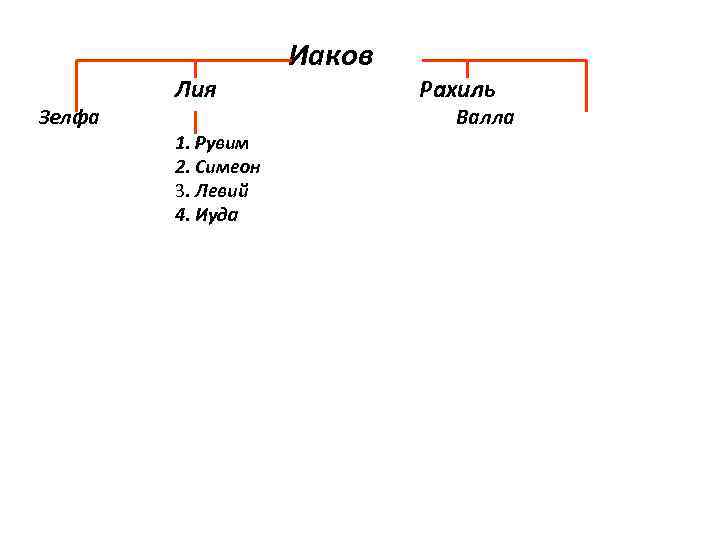 Зелфа Лия 1. Рувим 2. Симеон 3. Левий 4. Иуда Иаков Рахиль Валла 