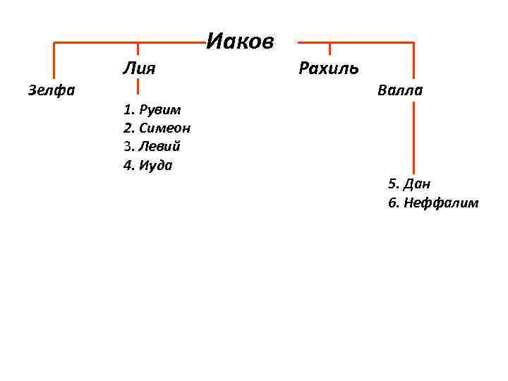 Зелфа Лия 1. Рувим 2. Симеон 3. Левий 4. Иуда Иаков Рахиль Валла 5.