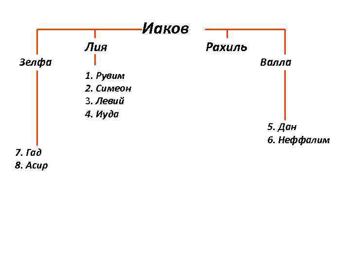 Иаков 4 3. Иаков Рахиль и Лия. Родословная от Иакова. Дети Иакова родословная. Лия и Рахиль жены Иакова.