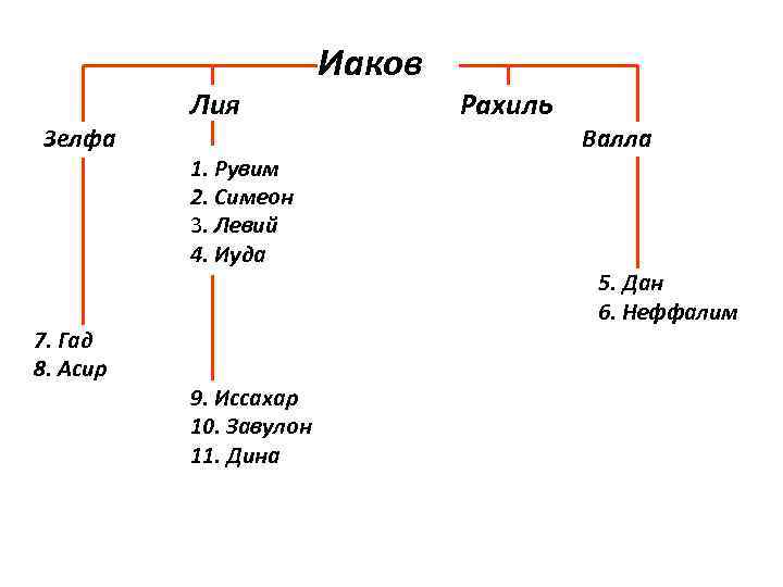 Зелфа 7. Гад 8. Асир Лия 1. Рувим 2. Симеон 3. Левий 4. Иуда