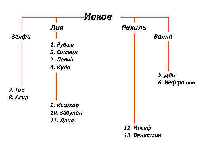 Иаков 5 4. Колено левия схема. Родословная левия. Рувим и Иаков. Рахиль и Лия в Библии.