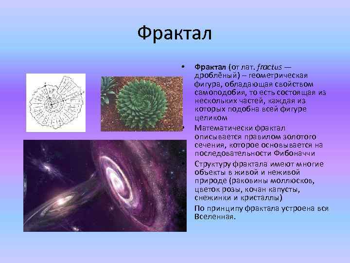 Фрактал • • Фрактал (от лат. fractus — дроблёный) – геометрическая фигура, обладающая свойством