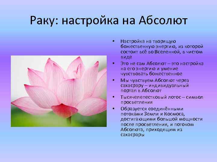 Раку: настройка на Абсолют • • • Настройка на творящую божественную энергию, из которой