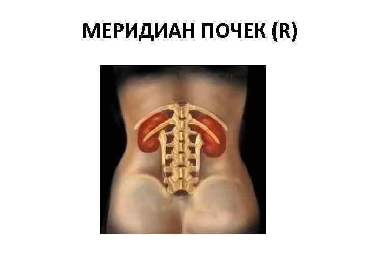 МЕРИДИАН ПОЧЕК (R) 