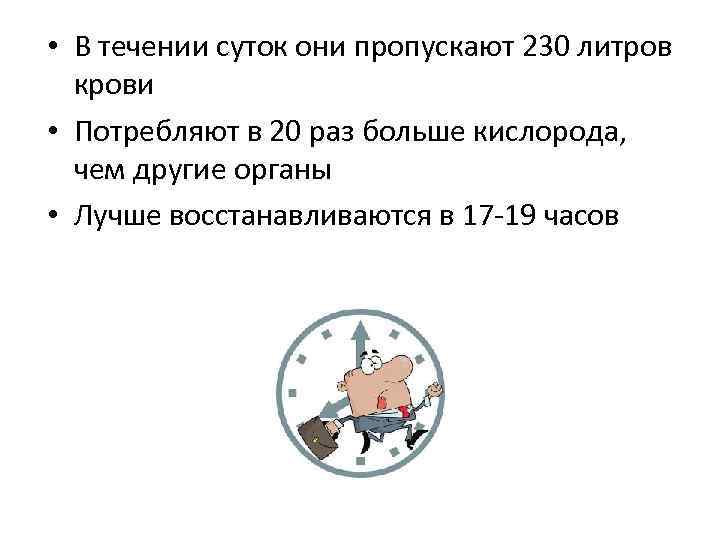  • В течении суток они пропускают 230 литров крови • Потребляют в 20