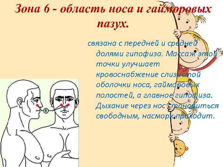 Зона 6 - область носа и гайморовых пазух. связана с передней и средней долями