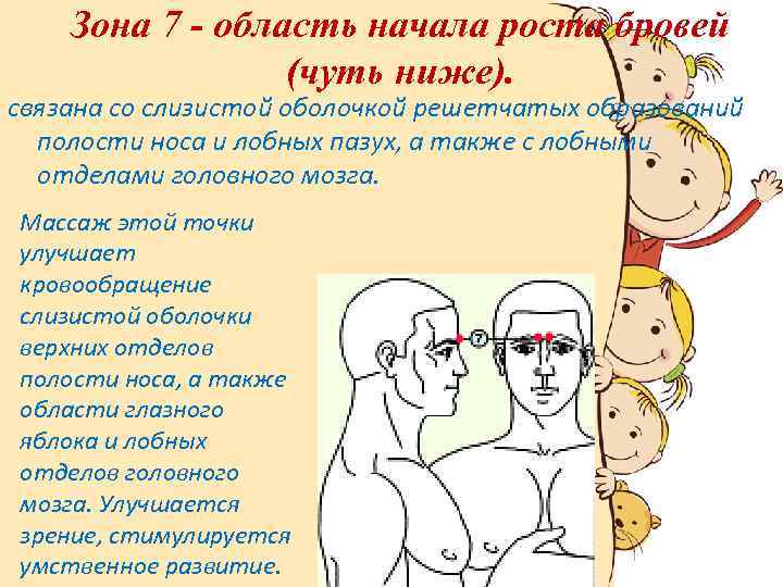 Зона 7 - область начала роста бровей (чуть ниже). связана со слизистой оболочкой решетчатых