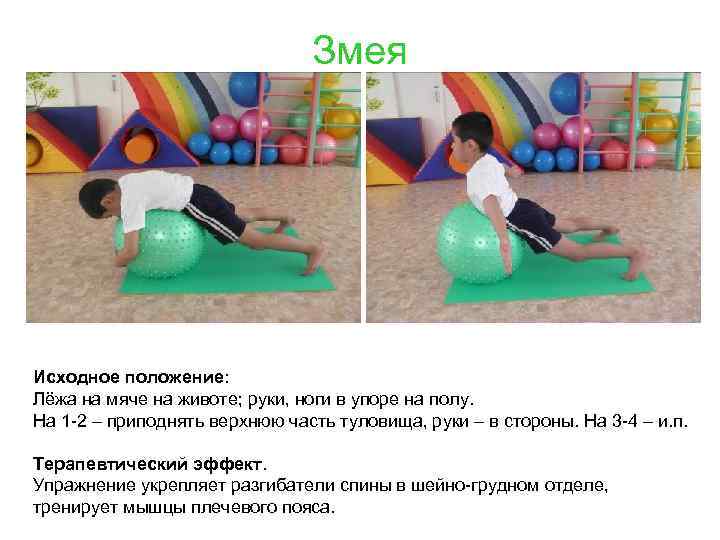 Змея Исходное положение: Лёжа на мяче на животе; руки, ноги в упоре на полу.