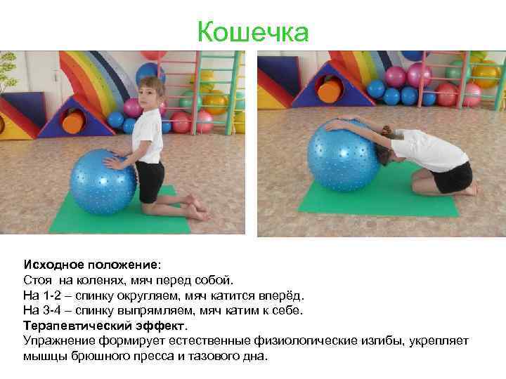 Кошечка Исходное положение: Стоя на коленях, мяч перед собой. На 1 -2 – спинку