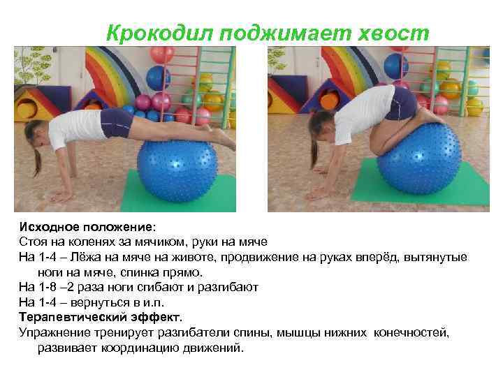 Крокодил поджимает хвост Исходное положение: Стоя на коленях за мячиком, руки на мяче На