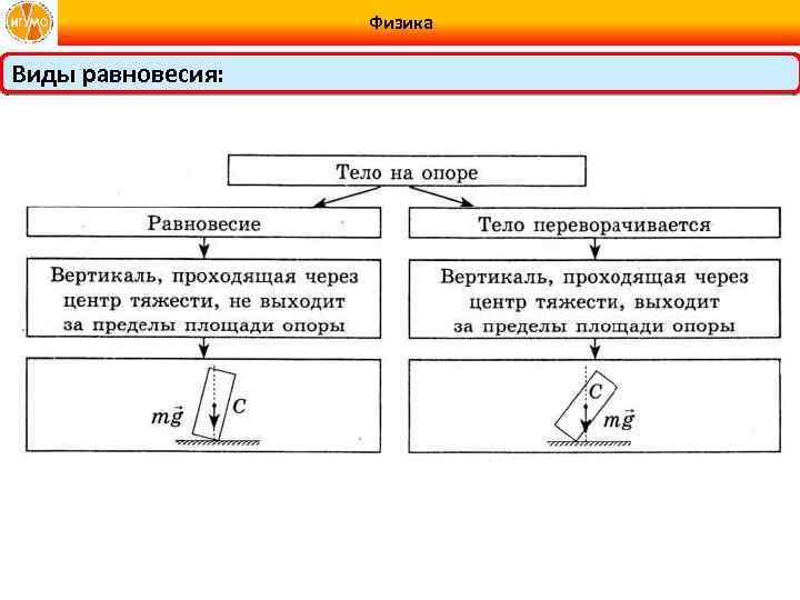 Виды физиков. Виды динамики физика. Виды в физике. Виды физик. Модуль в физике.