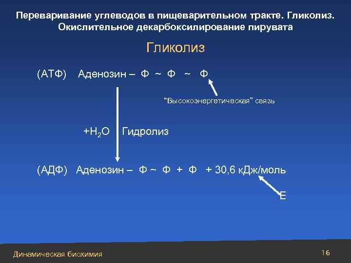 Переваривание углеводов в пищеварительном тракте. Гликолиз. Окислительное декарбоксилирование пирувата Гликолиз (АТФ) Аденозин – Ф