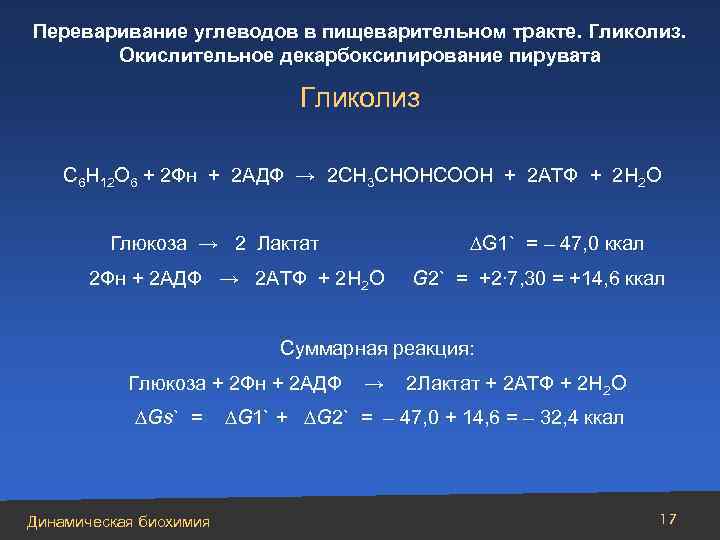 Переваривание углеводов в пищеварительном тракте. Гликолиз. Окислительное декарбоксилирование пирувата Гликолиз С 6 Н 12