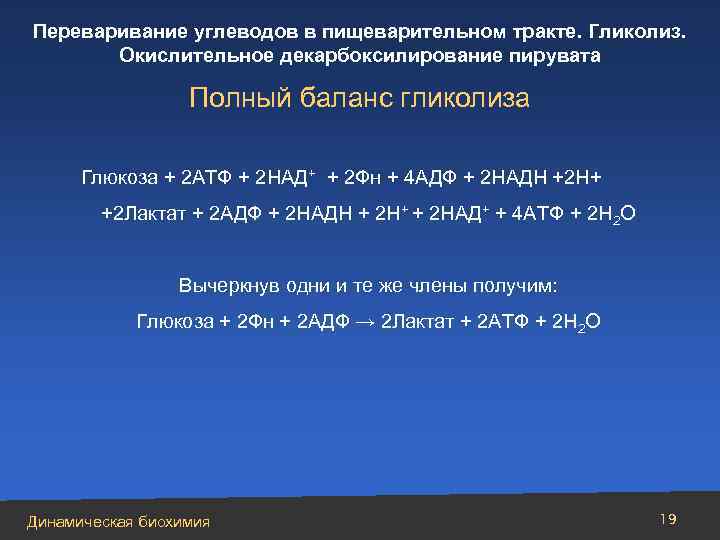 Переваривание углеводов в пищеварительном тракте. Гликолиз. Окислительное декарбоксилирование пирувата Полный баланс гликолиза Глюкоза +