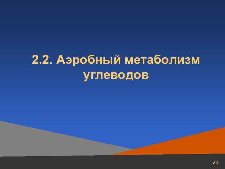 2. 2. Аэробный метаболизм углеводов 23 