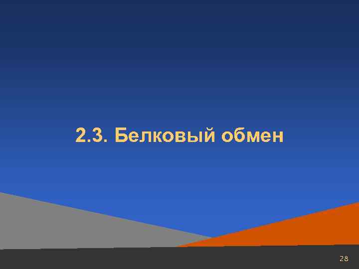 2. 3. Белковый обмен 28 