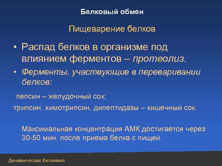 Белковый обмен Пищеварение белков • Распад белков в организме под влиянием ферментов – протеолиз.