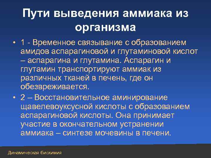 Пути выведения аммиака из организма • 1 - Временное связывание с образованием амидов аспарагиновой