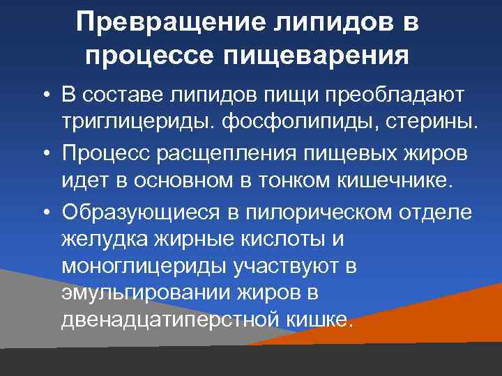 Превращение липидов в процессе пищеварения • В составе липидов пищи преобладают триглицериды. фосфолипиды, стерины.