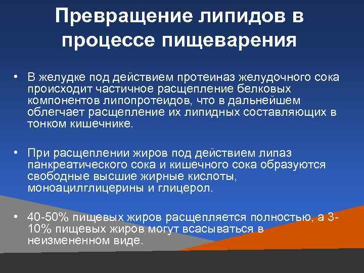 Превращение липидов в процессе пищеварения • В желудке под действием протеиназ желудочного сока происходит