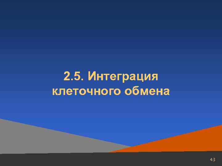 2. 5. Интеграция клеточного обмена 43 