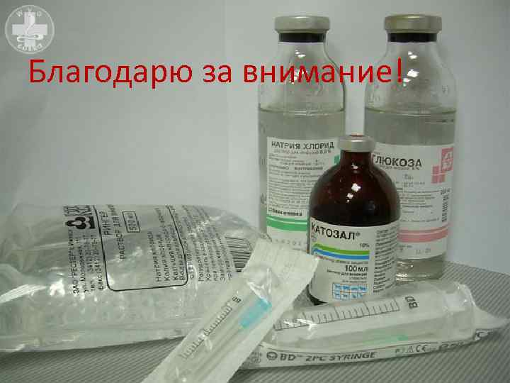 Благодарю за внимание! 