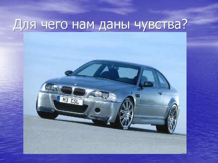 Для чего нам даны чувства? 