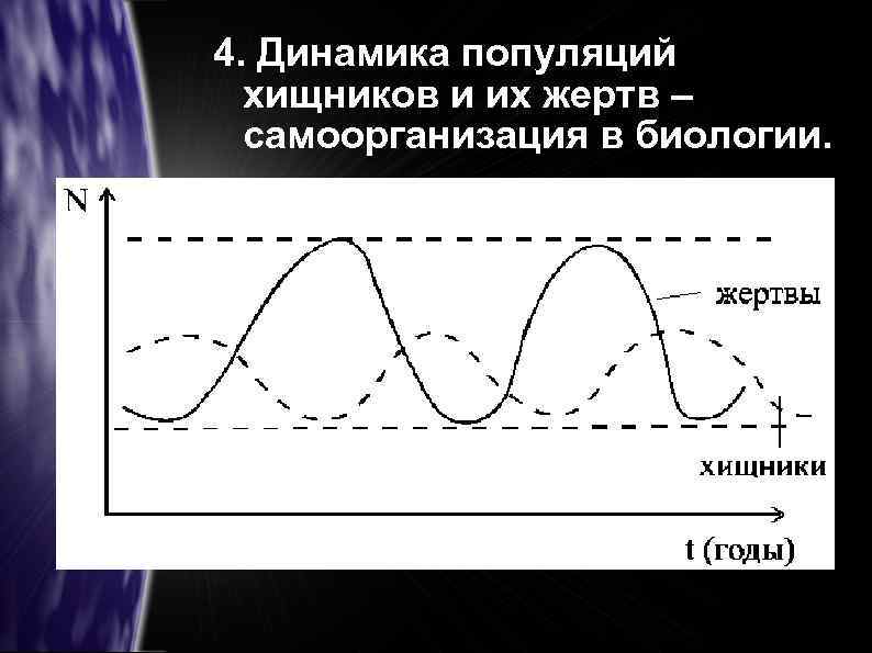 4. Динамика популяций хищников и их жертв – самоорганизация в биологии. 