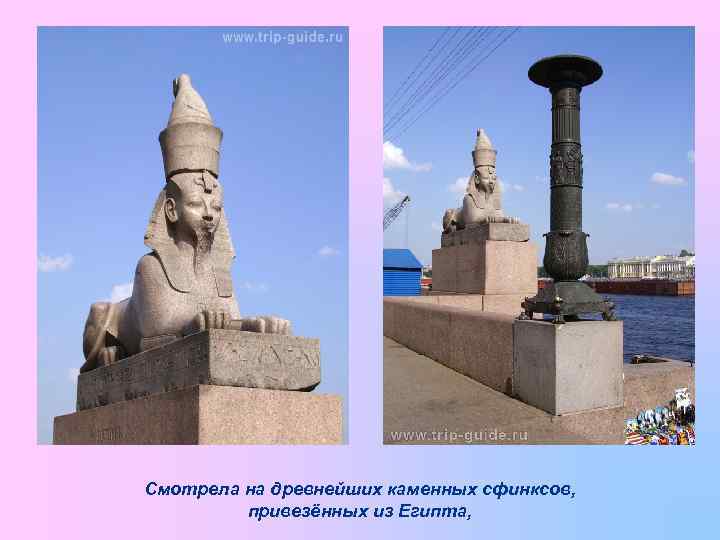 Смотрела на древнейших каменных сфинксов, привезённых из Египта, 