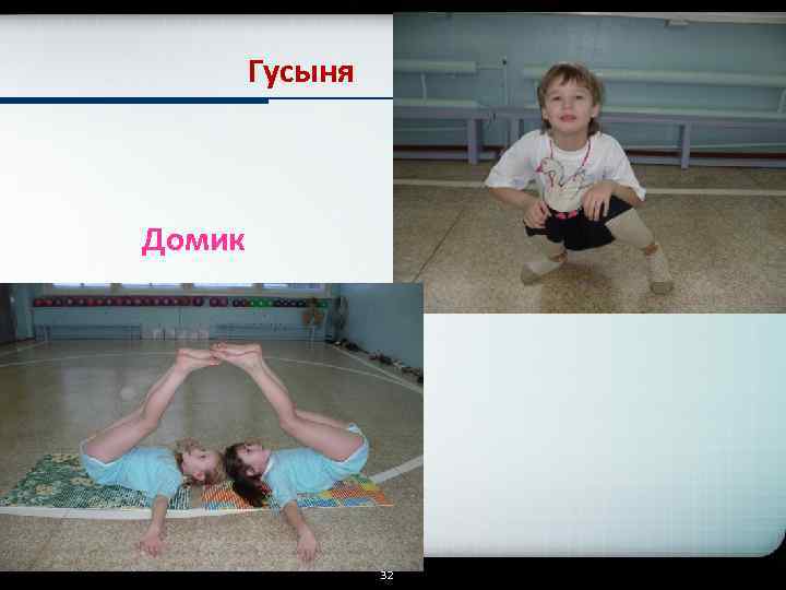 Гусыня Домик 32 