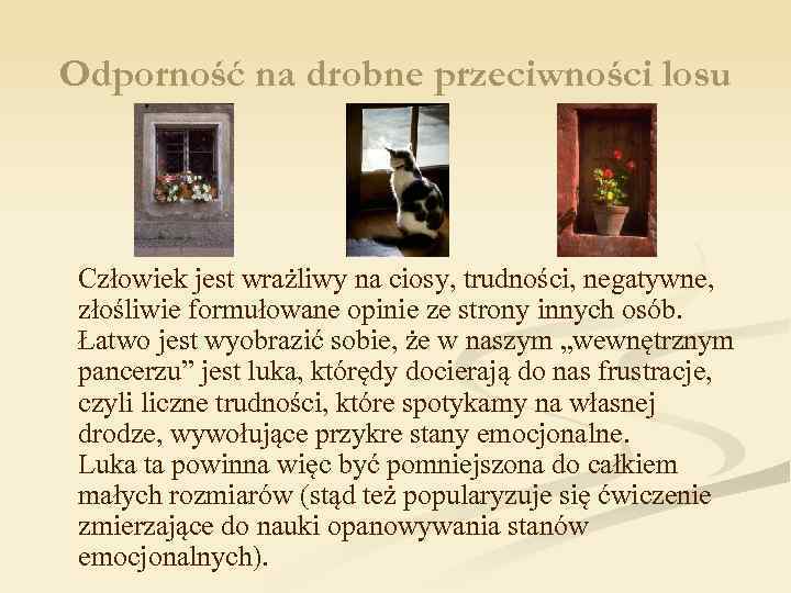 Odporność na drobne przeciwności losu Człowiek jest wrażliwy na ciosy, trudności, negatywne, złośliwie formułowane