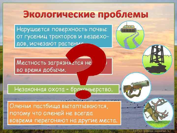 Экологические проблемы Нарушается поверхность почвы от гусениц тракторов и вездеходов, исчезают растения. Местность загрязняется