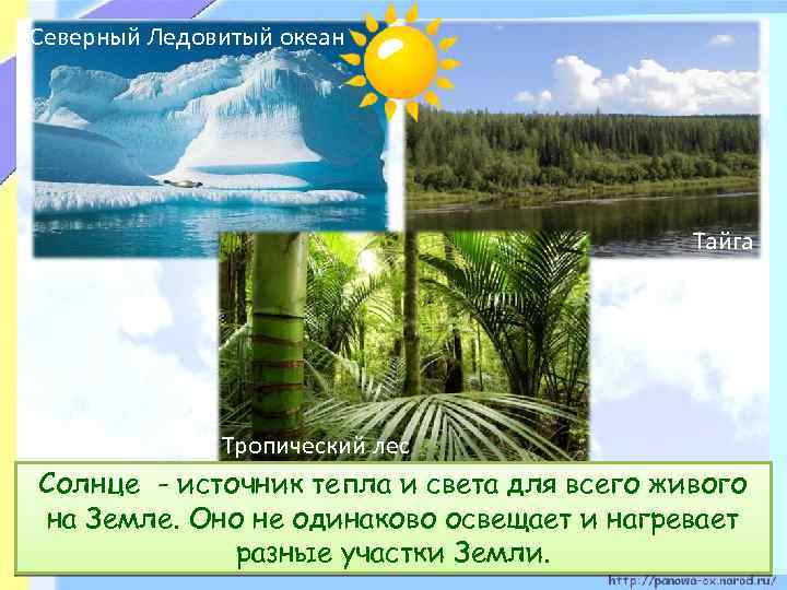 Северный Ледовитый океан Тайга Тропический лес Солнце - источник тепла В каких районах Земли