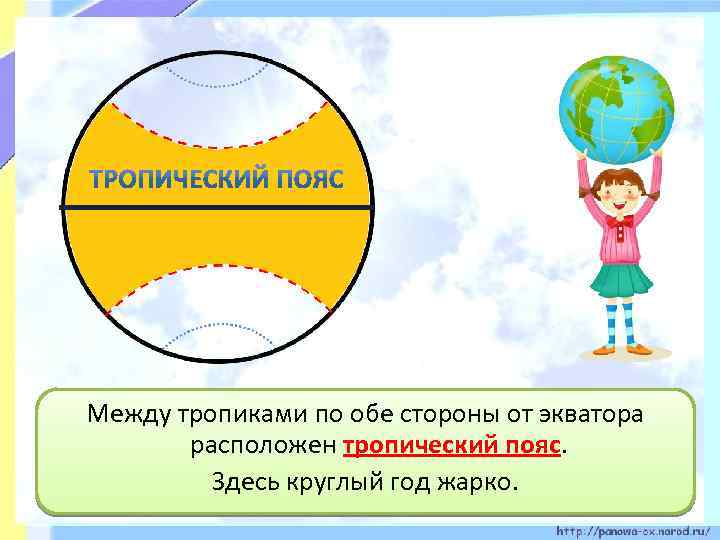 Между тропиками по обе стороны от экватора расположен тропический пояс. Здесь круглый год жарко.