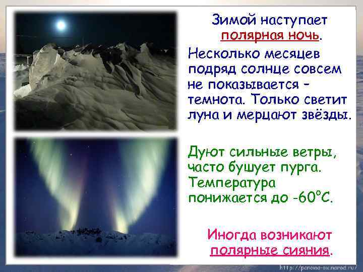 Зимой наступает полярная ночь. Несколько месяцев подряд солнце совсем не показывается – темнота. Только