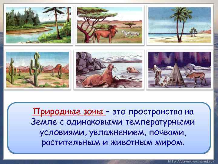 Природные зоны – это пространства на Земле с одинаковыми температурными условиями, увлажнением, почвами, растительным