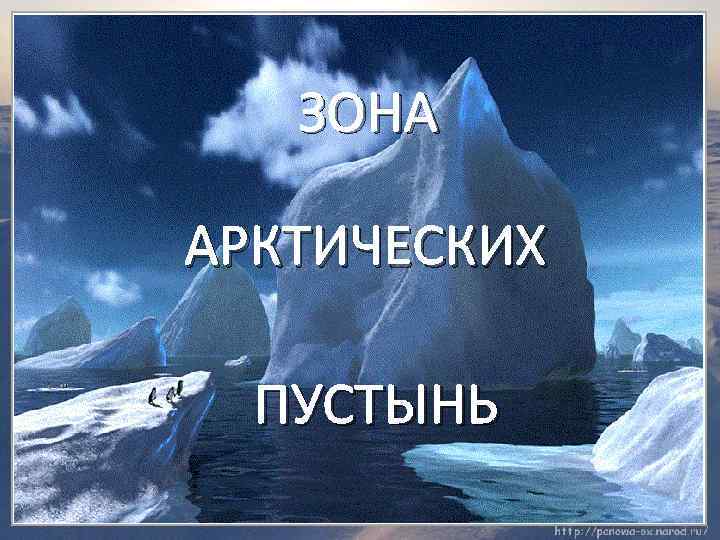 ЗОНА АРКТИЧЕСКИХ ПУСТЫНЬ 