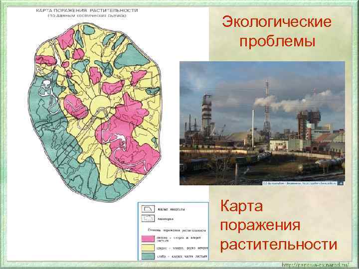 Экологические проблемы Карта поражения растительности 