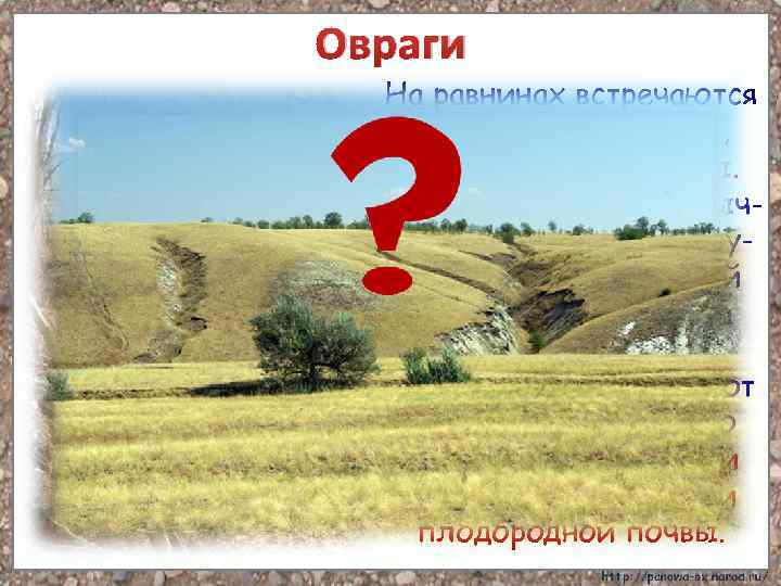 Овраги На равнинах встречаются овраги. У них крутые, осыпающиеся склоны. На склонах оврагов обычно