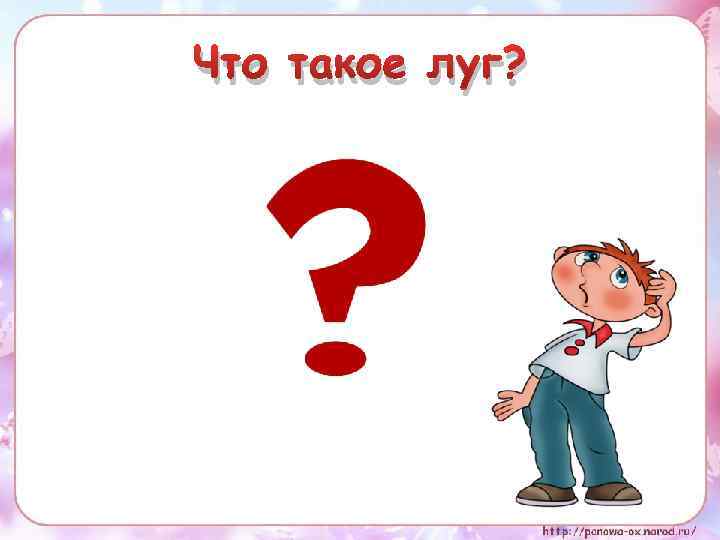 Что такое луг? 