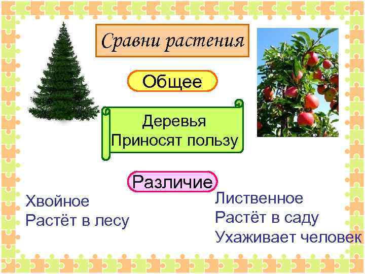 Какое дерево растет в саду 100 к 1 андроид