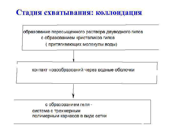 Стадия схватывания: коллоидация 