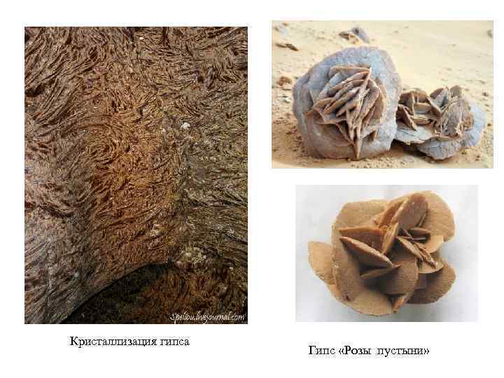 Кристаллизация гипса Гипс «Розы пустыни» 